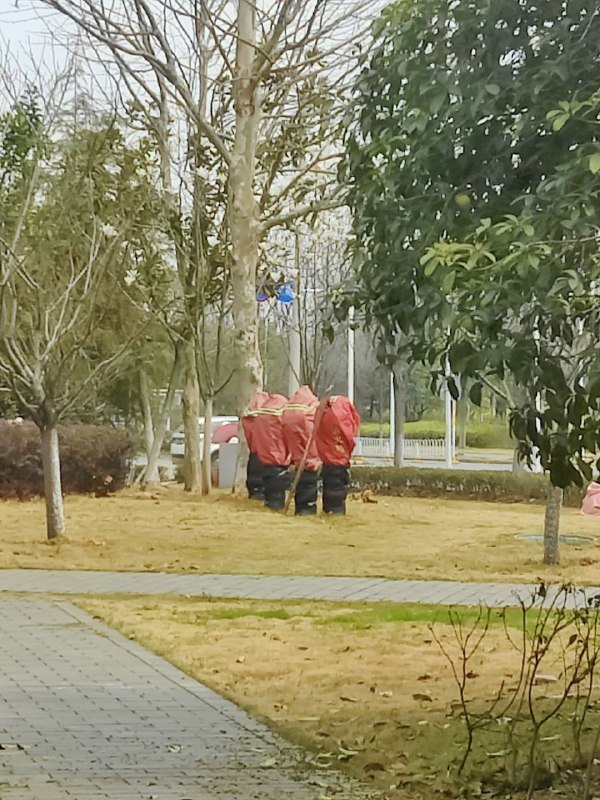 哈人 是谁把树桩子包成这样的